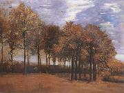 Vincent Van Gogh Autumn Landscape (nn04) Spain oil painting reproduction